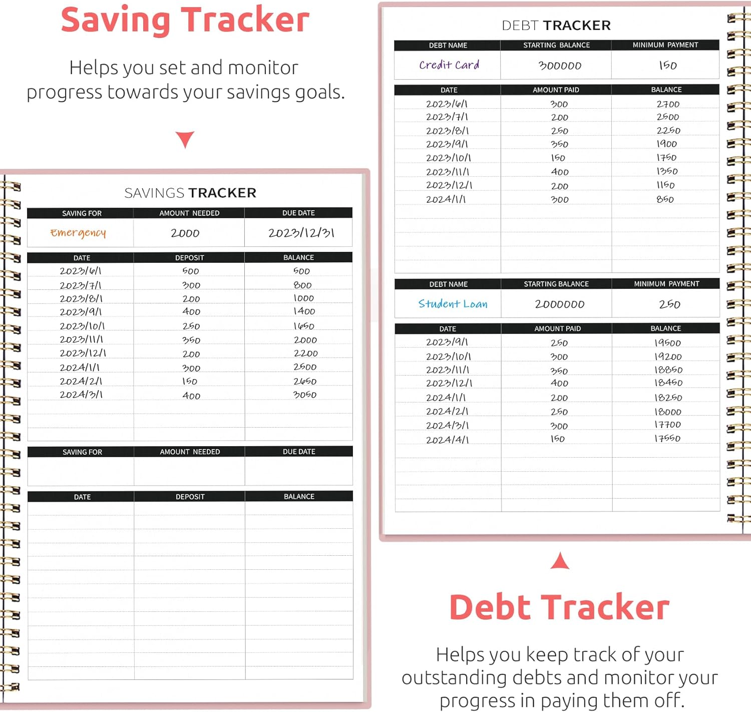 Budget Planner - Monthly Budget Book with Expense Tracker Notebook, Undated Bill Organizer & Finance Planner to Take Control of Your Money, 2024-2025 Account Book to Manage Your Finances-Pink