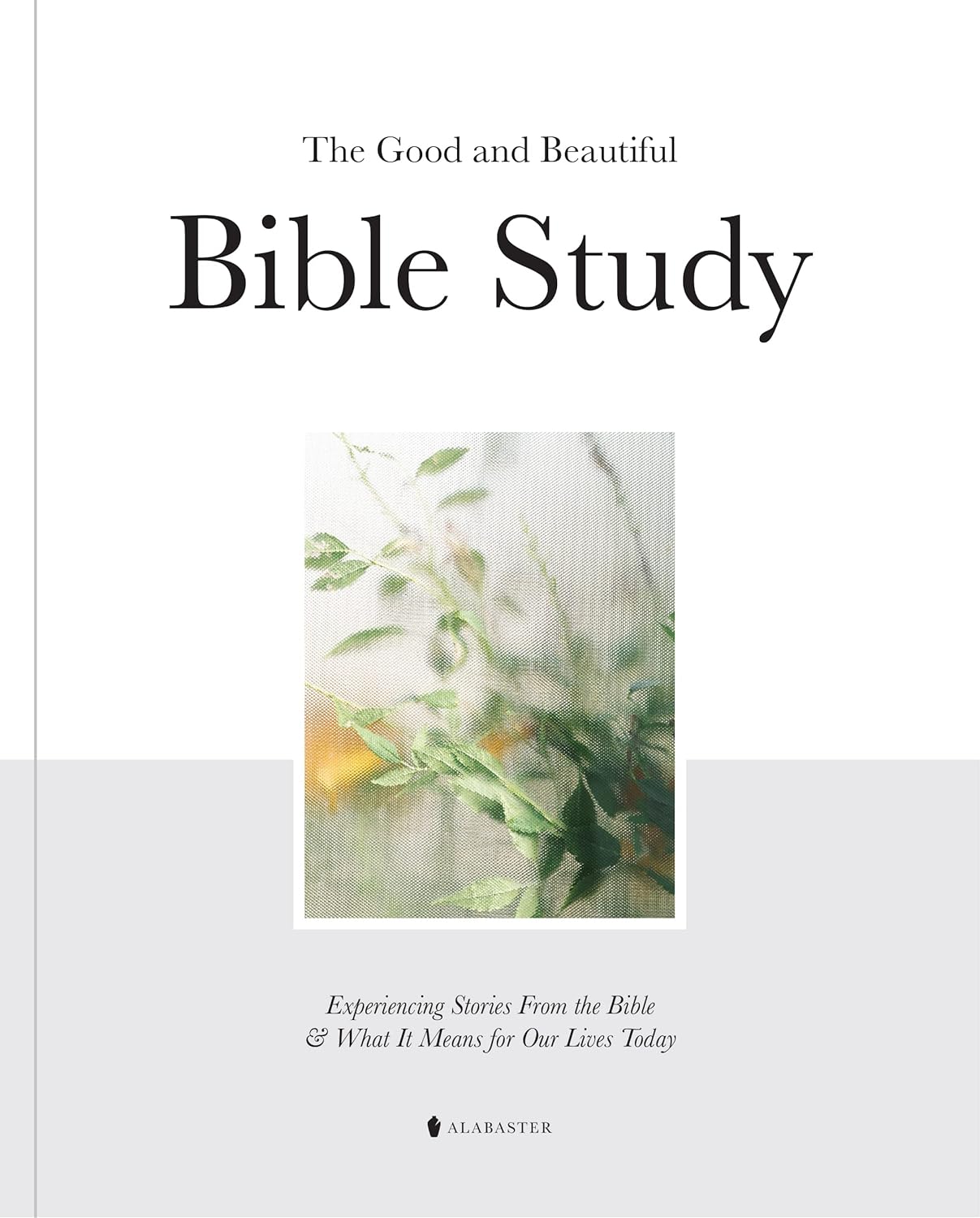 The Good and Beautiful Bible Study: Experiencing Stories from the Bible and What It Means for Our Lives Today