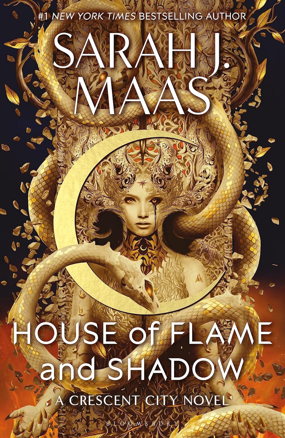 House of Flame and Shadow (International Edition)